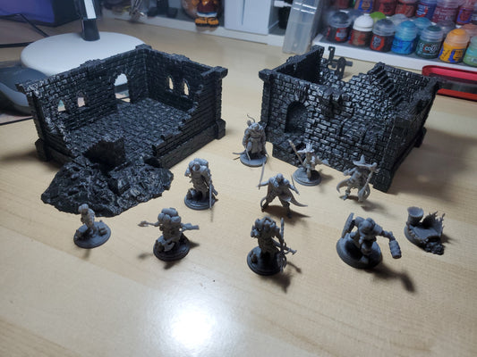 Dungeon and dragons figures and 2 buildings